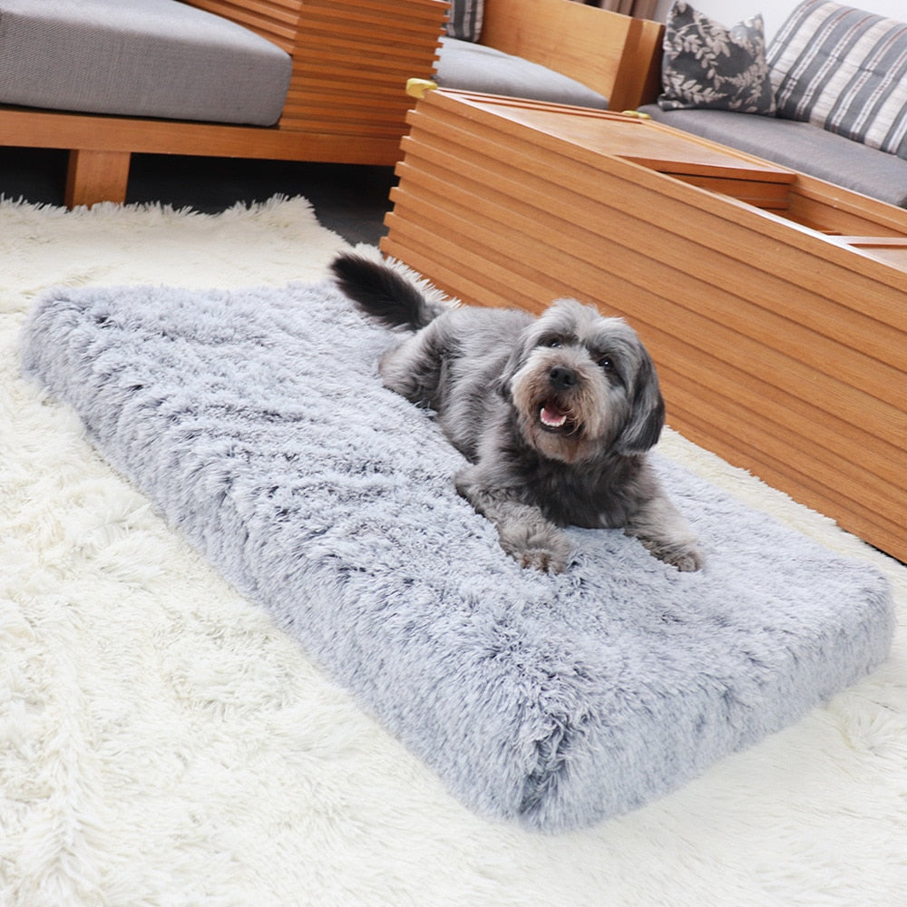 Orthopedic Plush Dog Bed with Removable Fur Cover